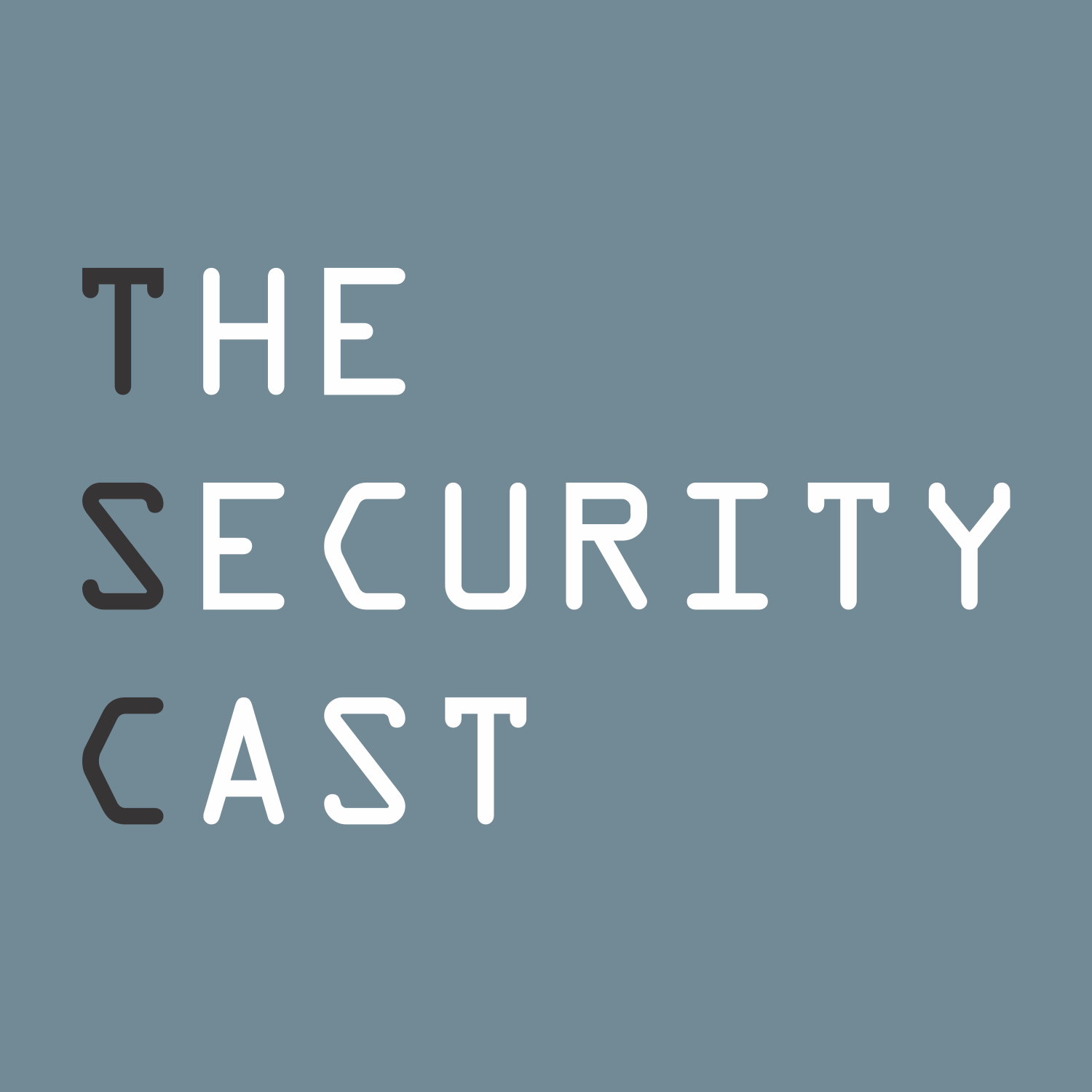 The Security Cast